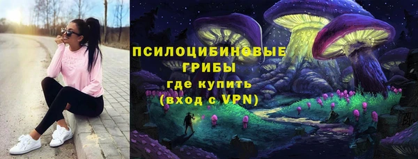 PSILOCYBIN Баксан