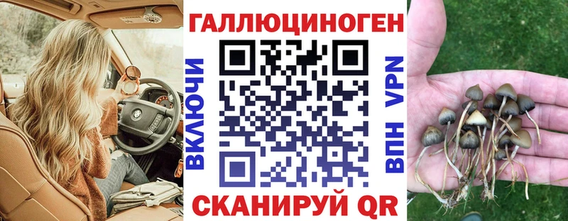 Псилоцибиновые грибы ЛСД  Купить закладки  Котельнич 