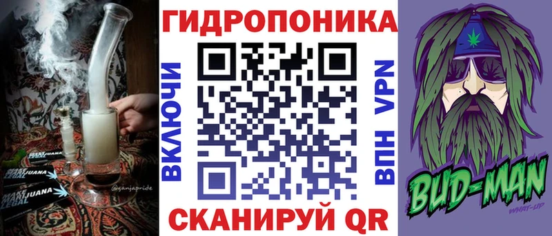 Канабис семена Купить закладки Котельнич
